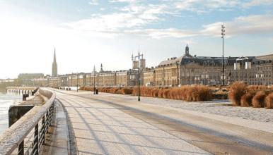 Agence Black Shield Bordeaux